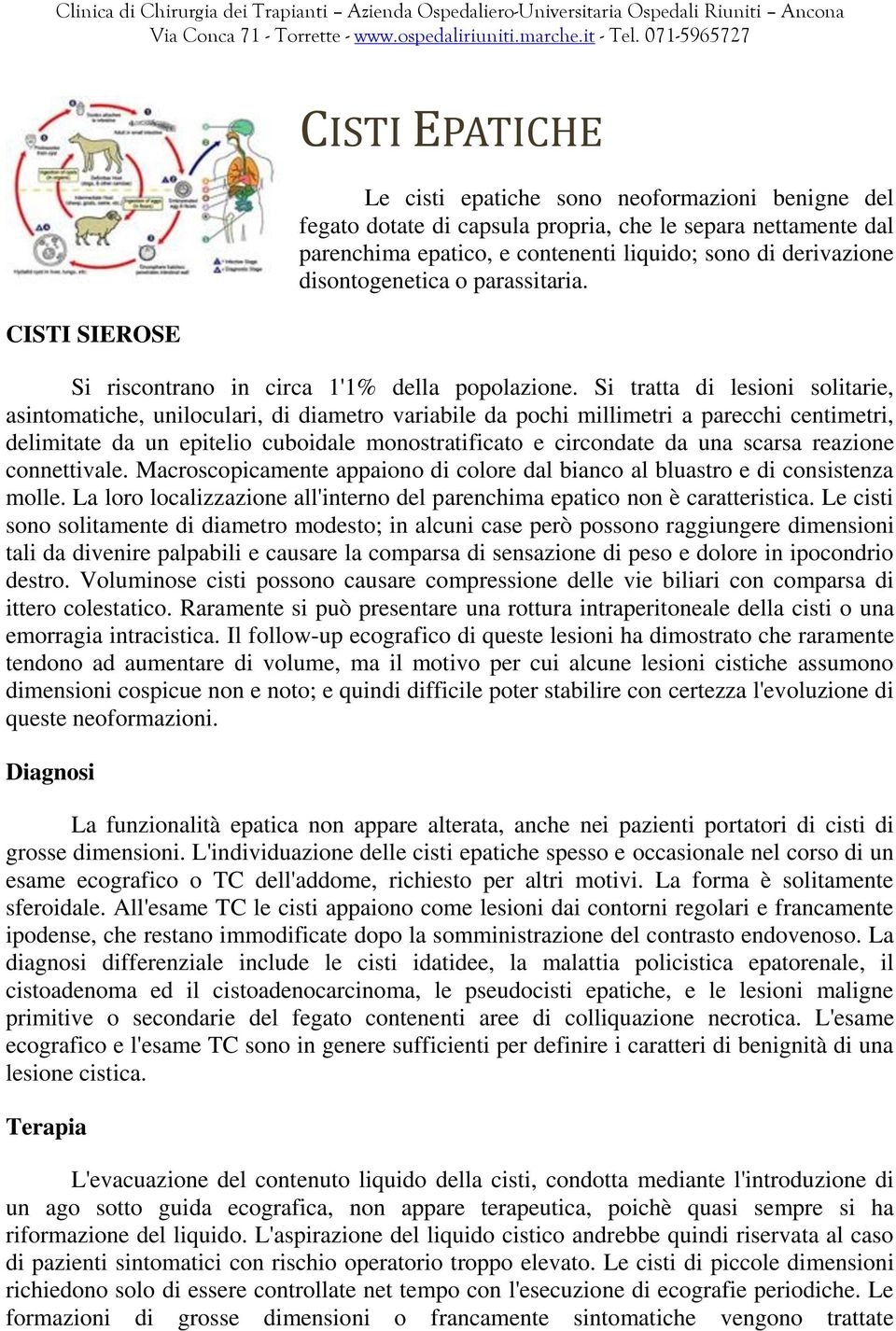 Si tratta di lesioni solitarie, asintomatiche, uniloculari, di diametro variabile da pochi millimetri a parecchi centimetri, delimitate da un epitelio cuboidale monostratificato e circondate da una