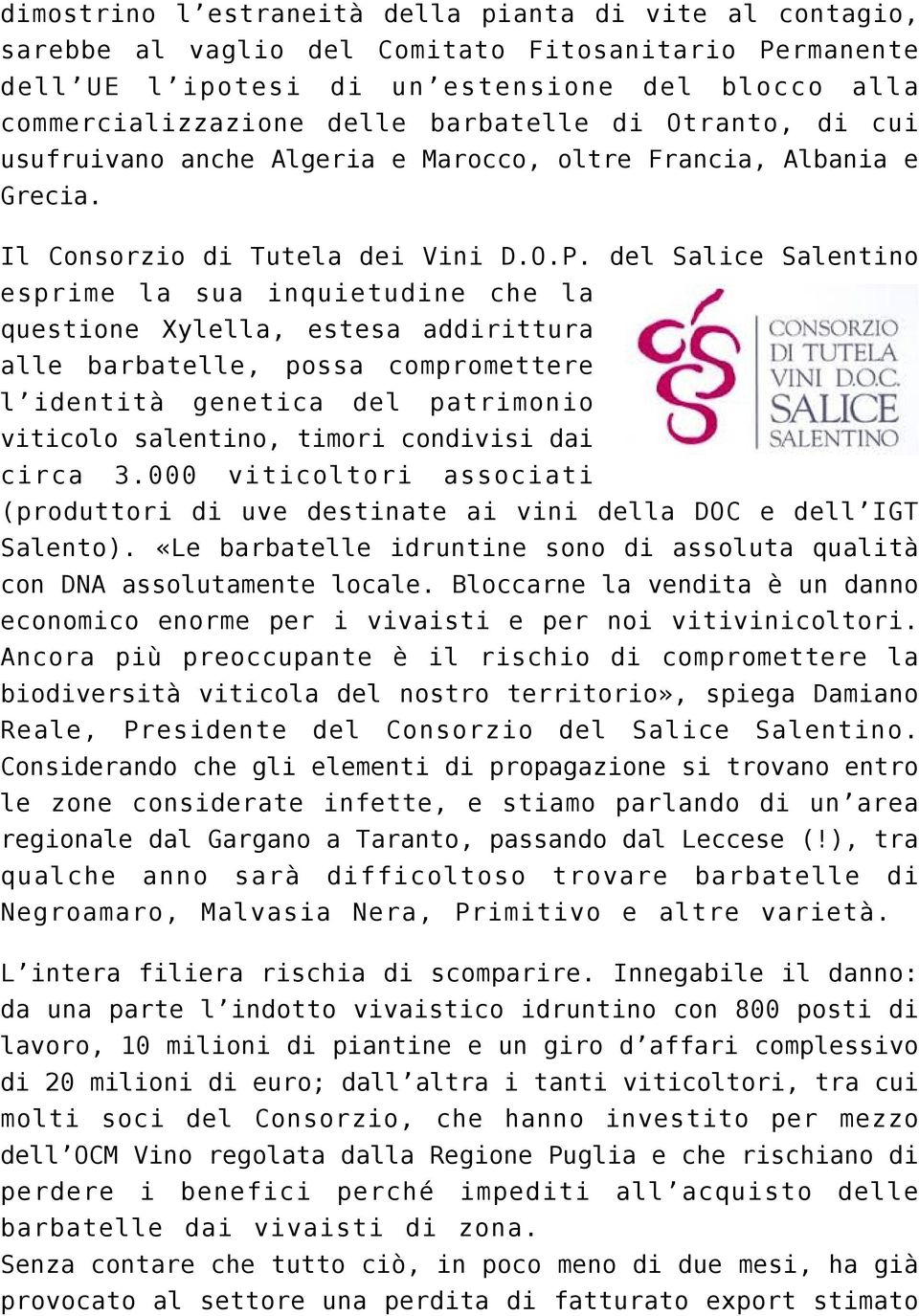 del Salice Salentino esprime la sua inquietudine che la questione Xylella, estesa addirittura alle barbatelle, possa compromettere l identità genetica del patrimonio viticolo salentino, timori