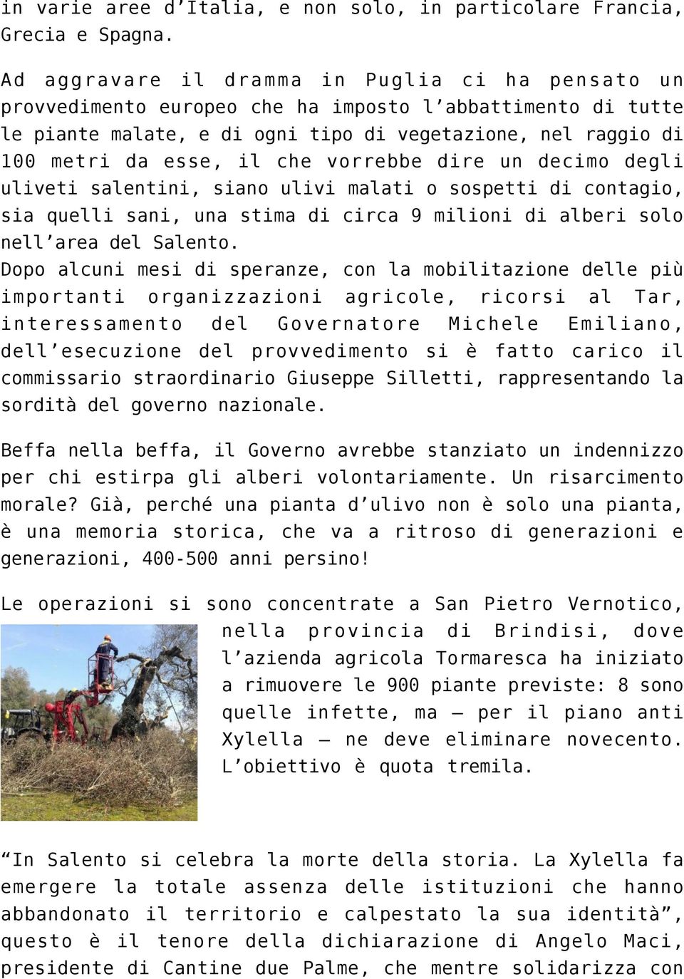 vorrebbe dire un decimo degli uliveti salentini, siano ulivi malati o sospetti di contagio, sia quelli sani, una stima di circa 9 milioni di alberi solo nell area del Salento.