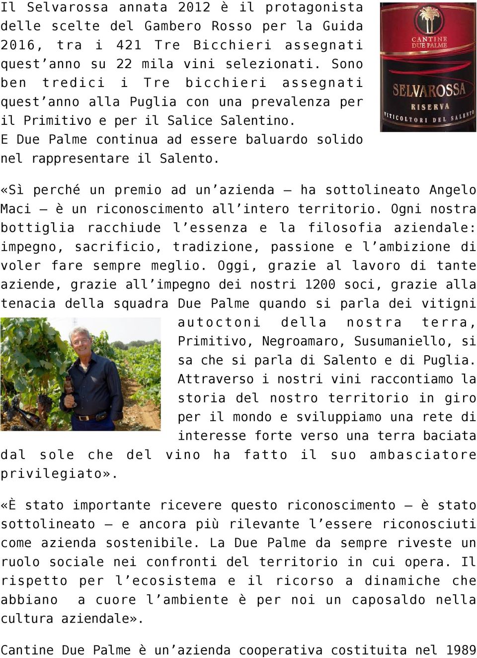 E Due Palme continua ad essere baluardo solido nel rappresentare il Salento. «Sì perché un premio ad un azienda ha sottolineato Angelo Maci è un riconoscimento all intero territorio.