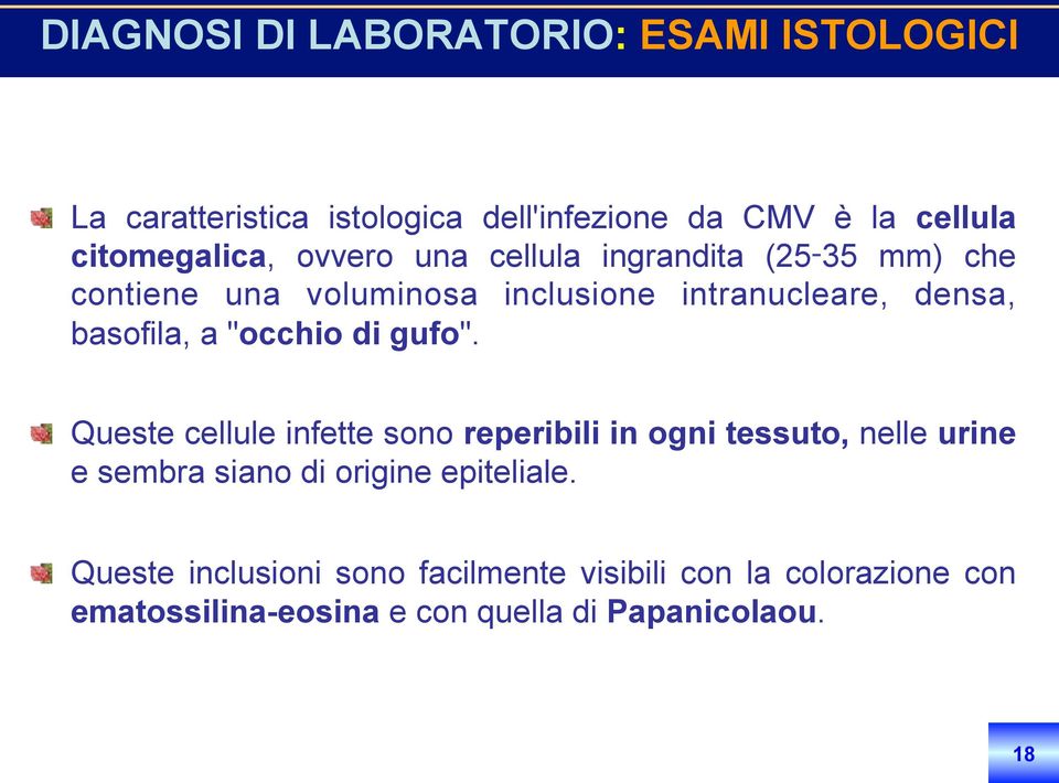 che contiene una voluminosa inclusione intranucleare, densa, basofila, a "occhio di gufo".