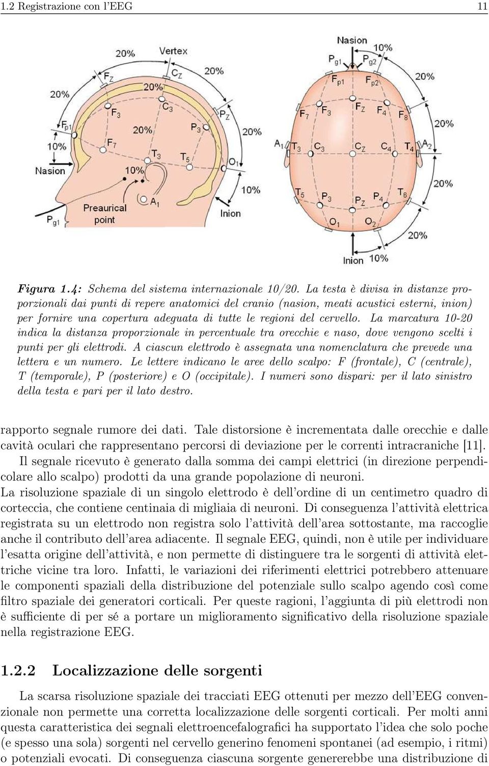 La marcatura - indica la distanza proporzionale in percentuale tra orecchie e naso, dove vengono scelti i punti per gli elettrodi.