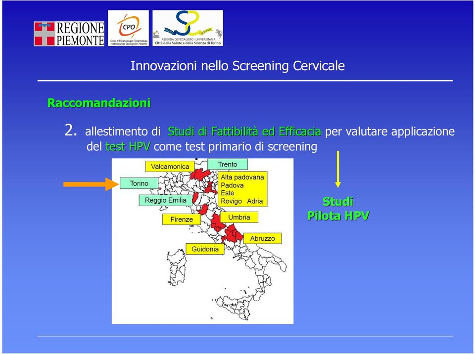 allestimento di Studi di Fattibilità ed