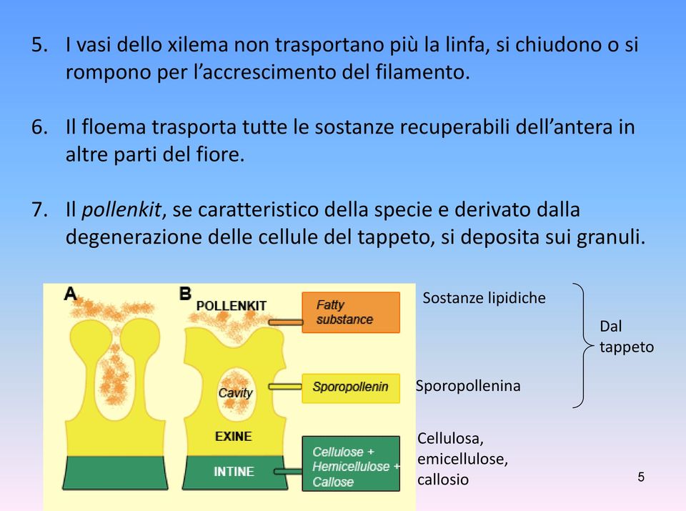 Il pollenkit, se caratteristico della specie e derivato dalla degenerazione delle cellule del tappeto,