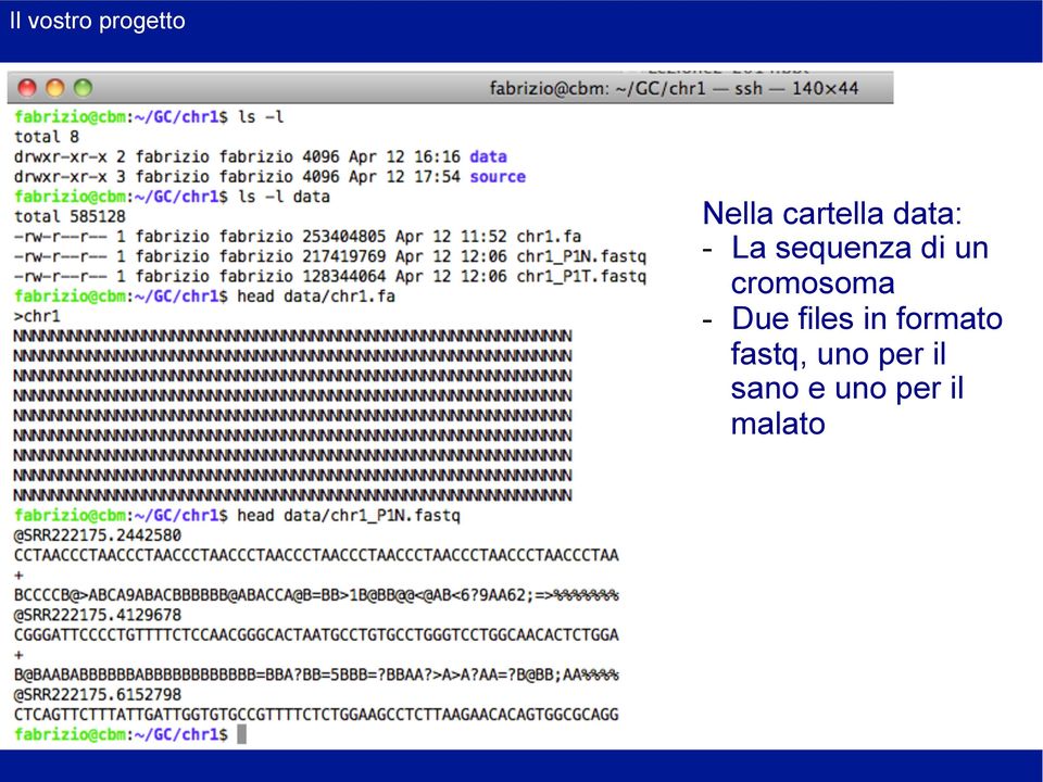 cromosoma - Due files in formato