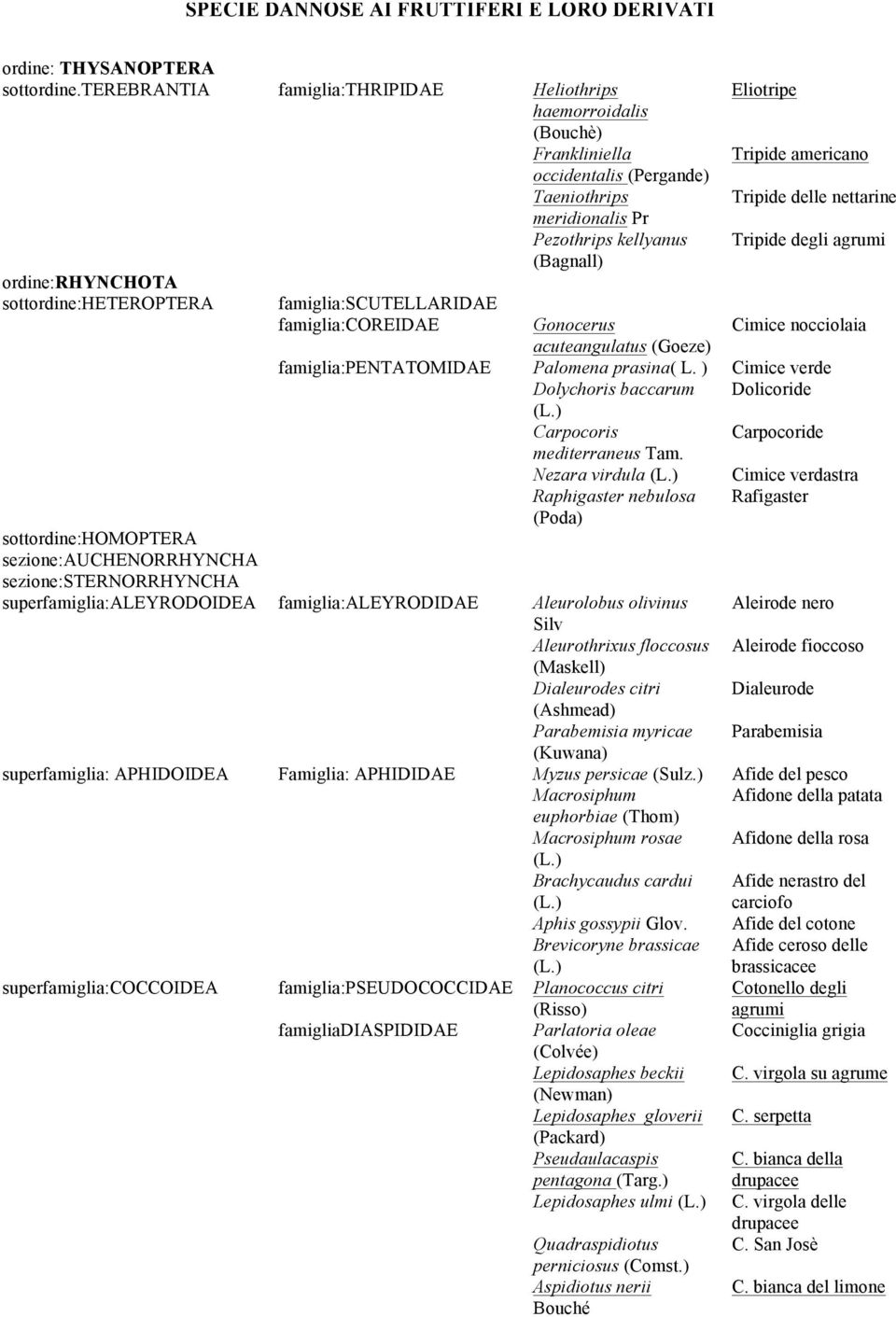 (Bagnall) Eliotripe Tripide americano Tripide delle nettarine Tripide degli agrumi famiglia:scutellaridae famiglia:coreidae Gonocerus Cimice nocciolaia acuteangulatus (Goeze) famiglia:pentatomidae