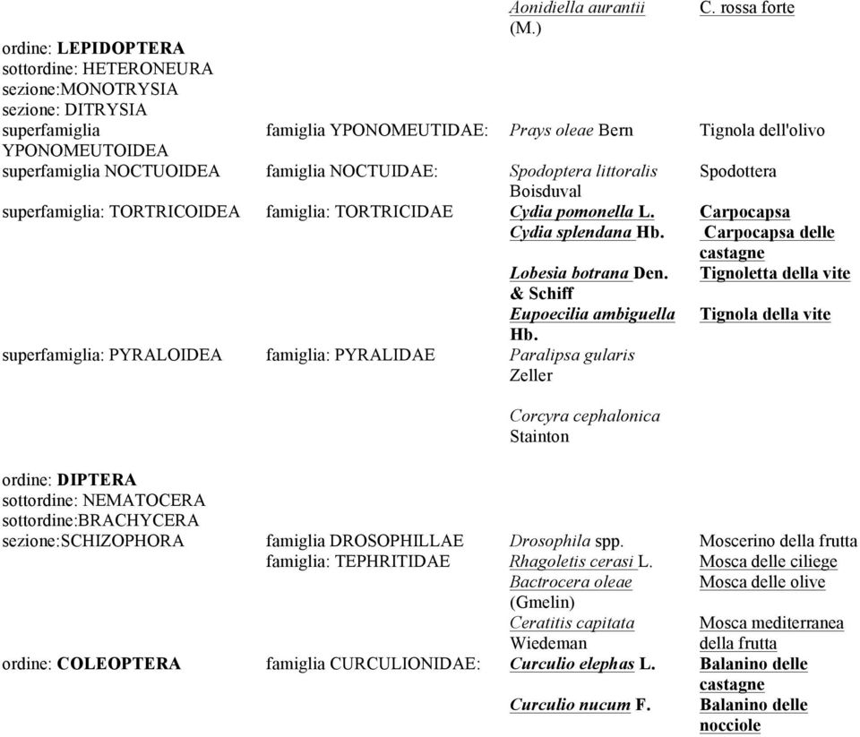 TORTRICIDAE Cydia pomonella L. Carpocapsa Cydia splendana Hb. Carpocapsa delle castagne Lobesia botrana Den. Tignoletta della vite & Schiff Eupoecilia ambiguella Tignola della vite Hb.