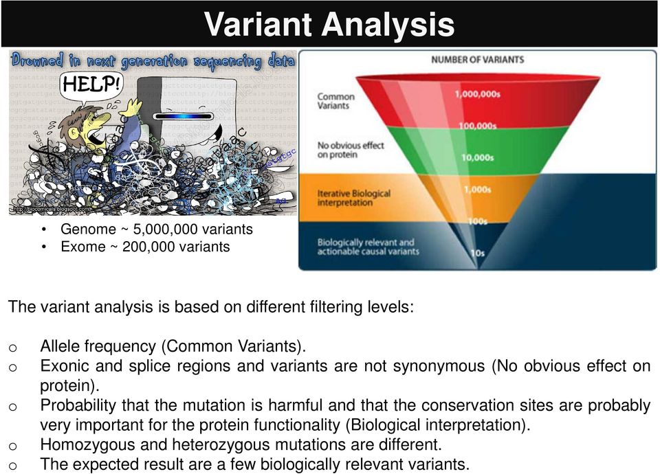 Prbability that the mutatin is harmful and that the cnservatin sites are prbably very imprtant fr the prtein functinality