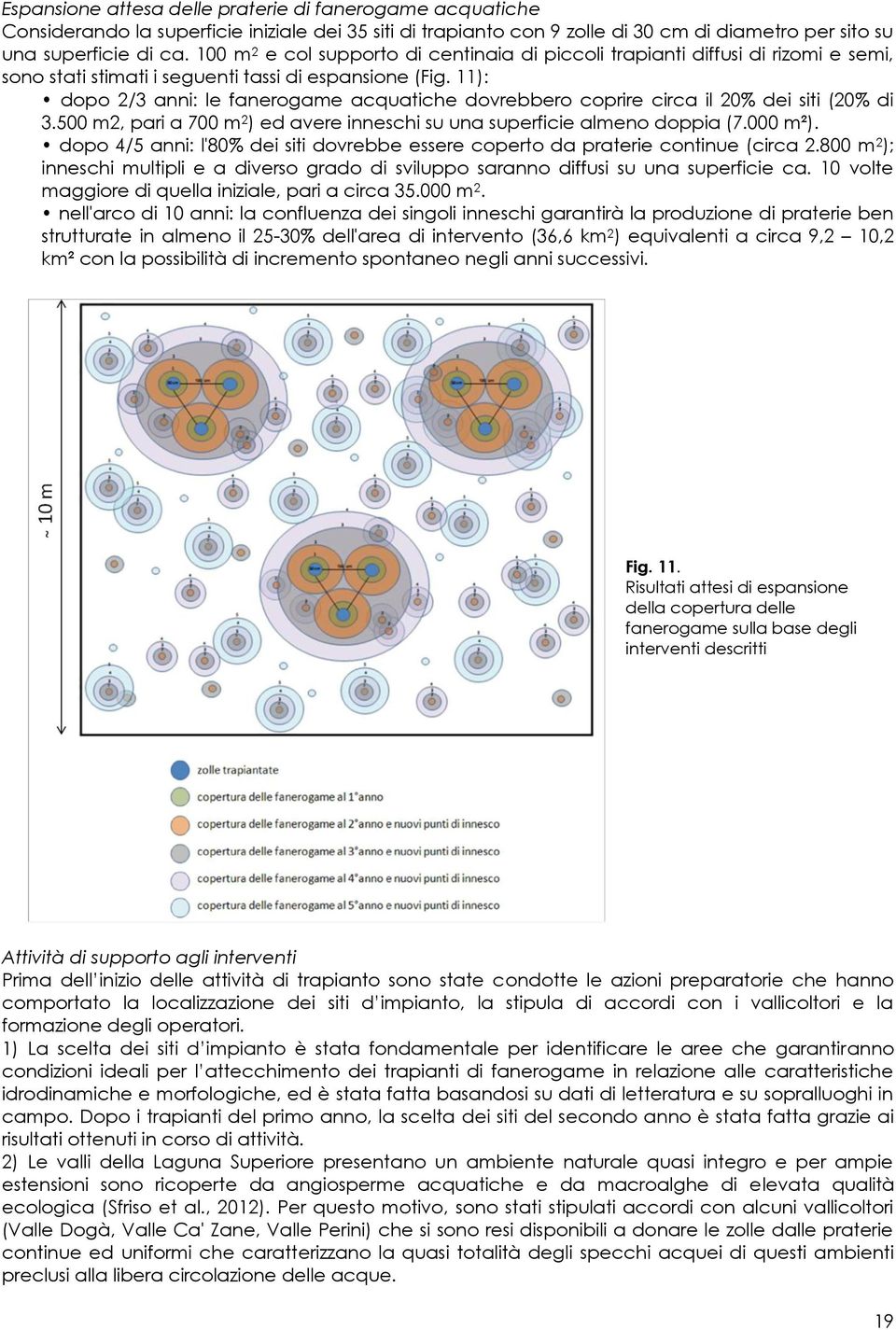 11): dopo 2/3 anni: le fanerogame acquatiche dovrebbero coprire circa il 20% dei siti (20% di 3.500 m2, pari a 700 m 2 ) ed avere inneschi su una superficie almeno doppia (7.000 m²).