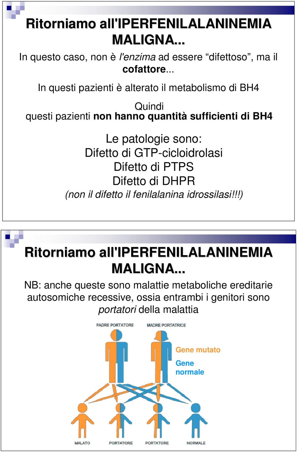 Difetto di GTP-cicloidrolasi Difetto di PTPS Difetto di DHPR (non il difetto il fenilalanina idrossilasi!