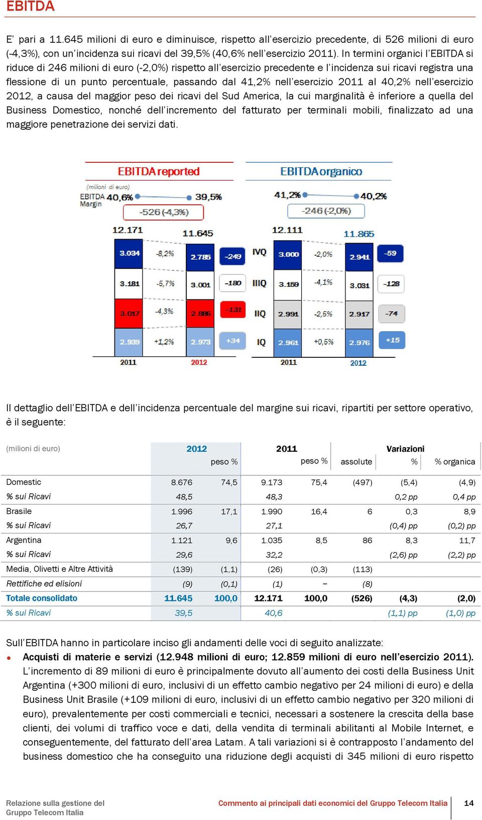 nell esercizio 2011 al 40,2% nell esercizio 2012, a causa del maggior peso dei ricavi del Sud America, la cui marginalità è inferiore a quella del Business Domestico, nonché dell incremento del