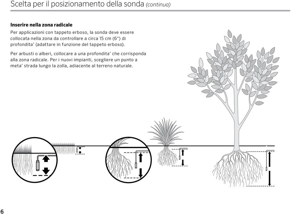 in funzione del tappeto erboso).