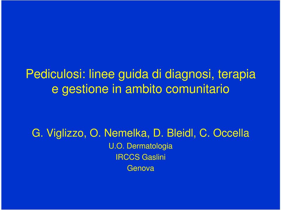 G. Viglizzo, O. Nemelka, D. Bleidl, C.