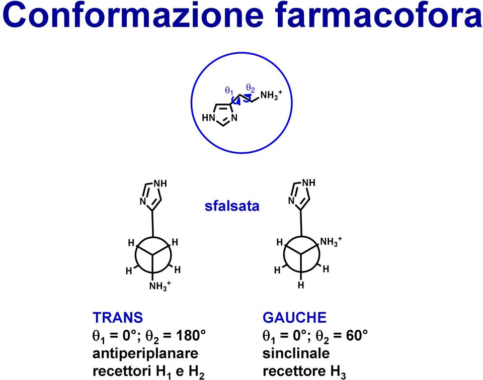 1 = 0 ; 2 = 180 antiperiplanare recettori H 1 e