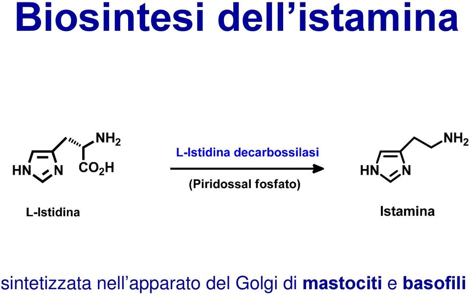 nell apparato del