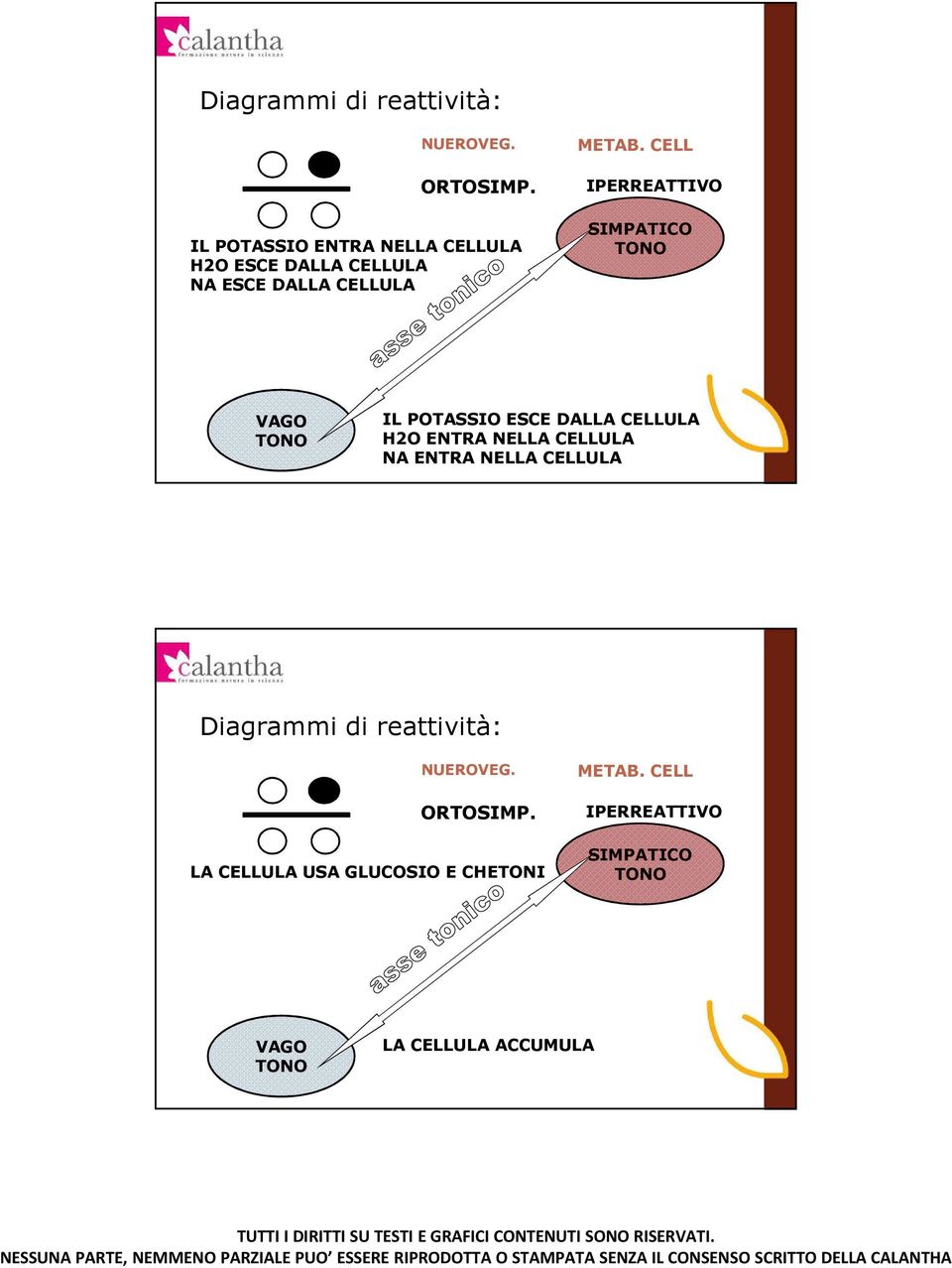 CELLULA H2O ENTRA NELLA CELLULA NA ENTRA NELLA CELLULA LA CELLULA USA