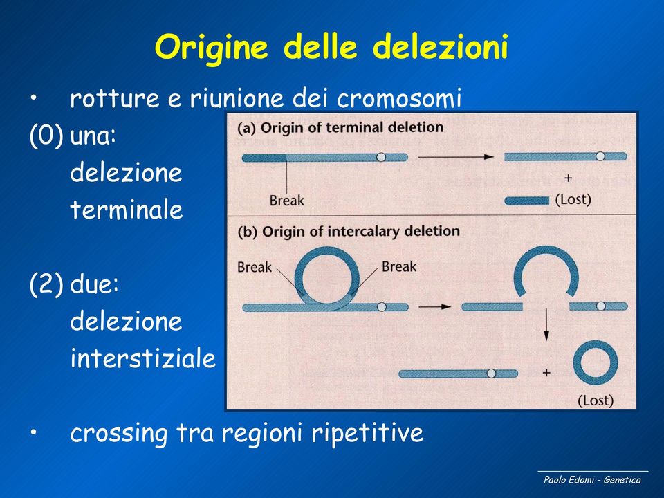 delezione terminale (2) due: