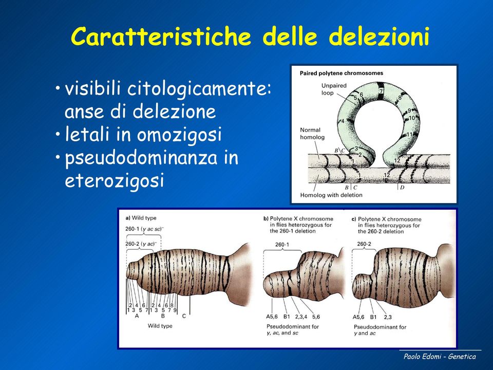 di delezione letali in