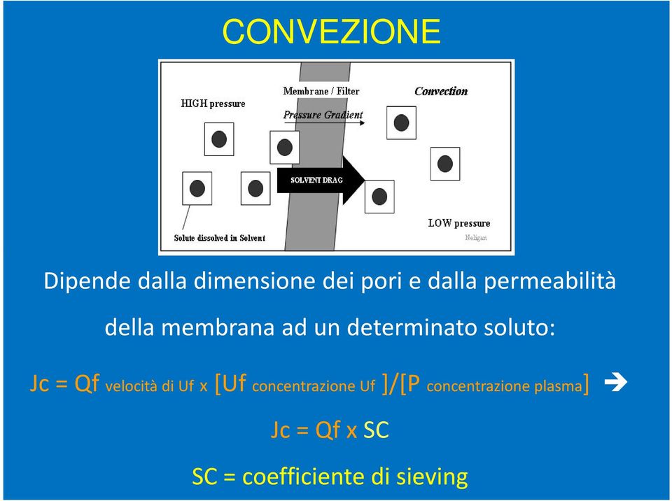 Jc = Qf velocità di Uf x[uf concentrazione Uf]/[P