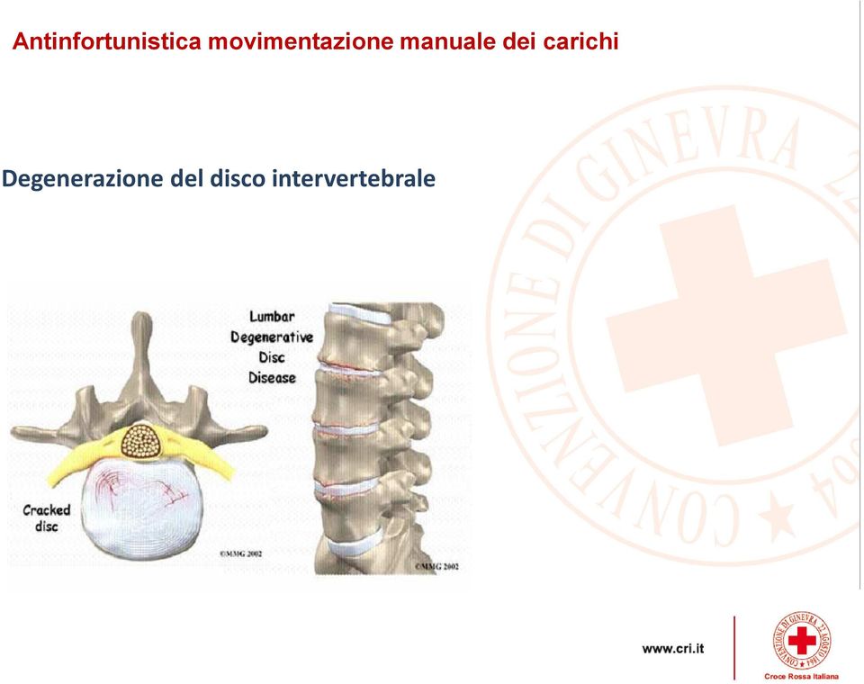 dei carichi