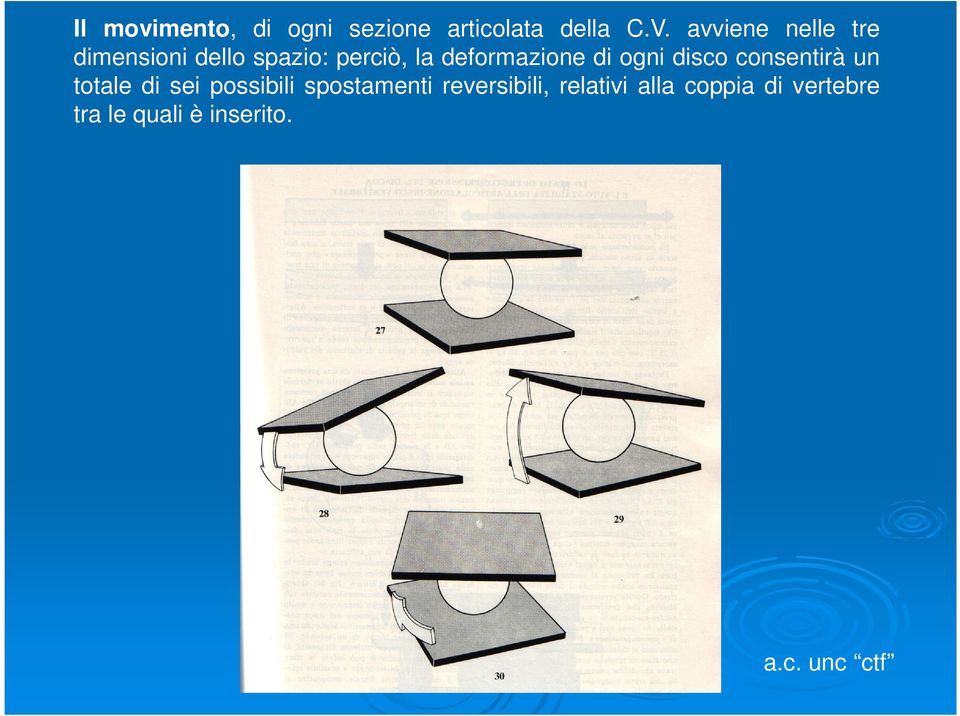 deformazione di ogni disco consentirà un totale di sei