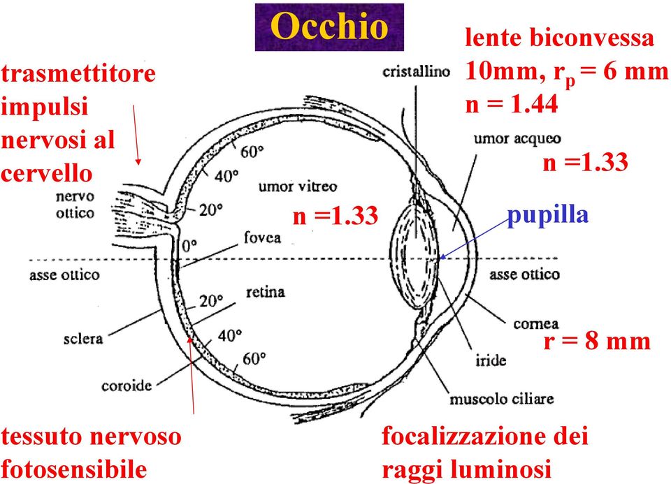 33 lente biconvessa 10mm, r p = 6 mm n = 1.