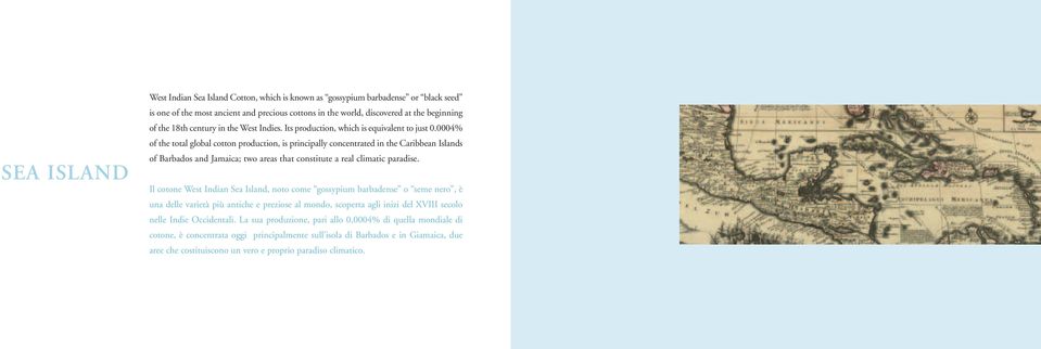 0004% of the total global cotton production, is principally concentrated in the Caribbean Islands of Barbados and Jamaica; two areas that constitute a real climatic paradise.