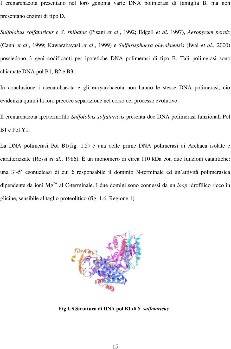 Tali polimerasi sono chiamate DNA pol B1, B2 e B3.