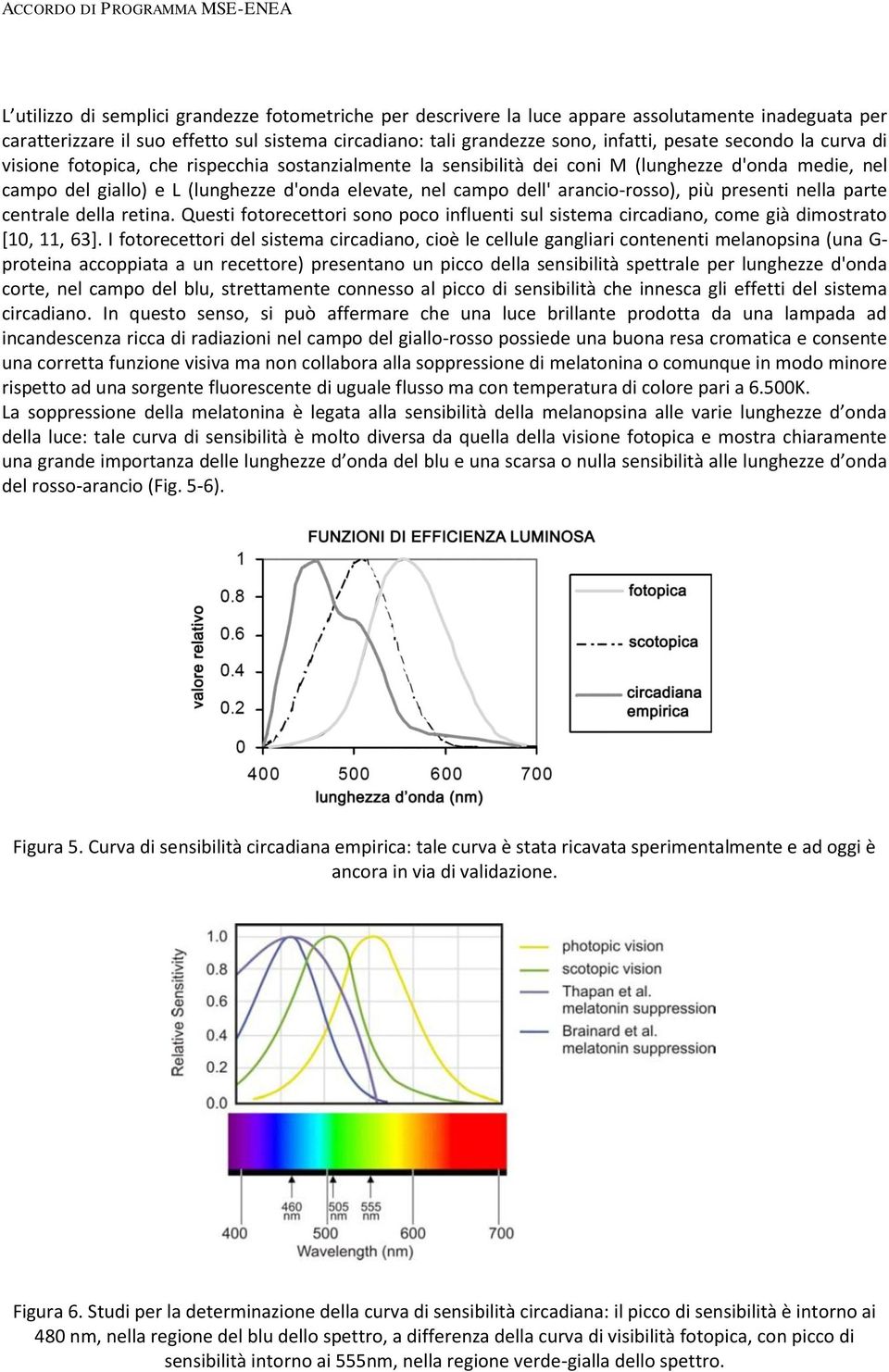 elevate, nel campo dell' arancio-rosso), più presenti nella parte centrale della retina. Questi fotorecettori sono poco influenti sul sistema circadiano, come già dimostrato [10, 11, 63].