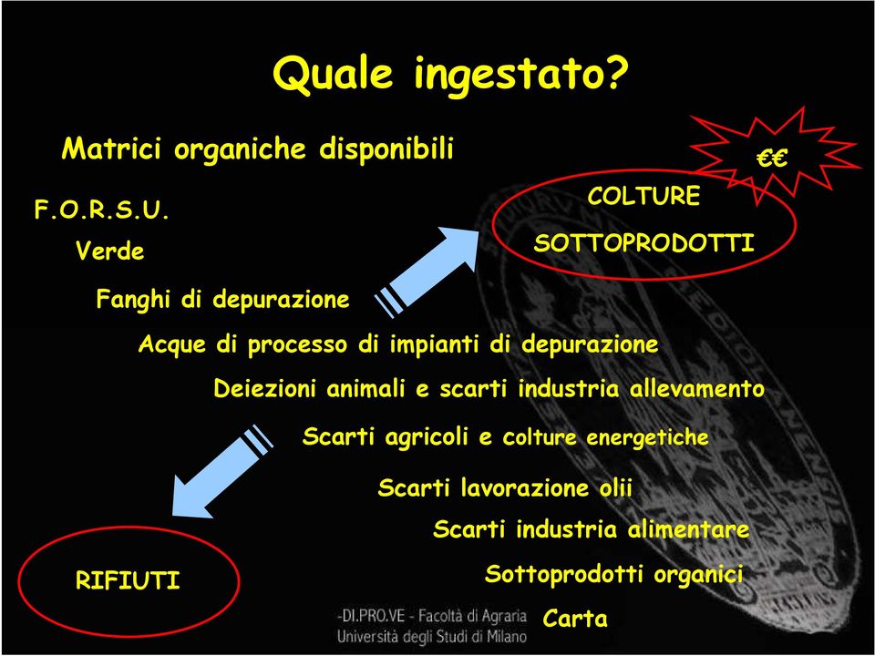 di depurazione Deiezioni animali e scarti industria allevamento Scarti agricoli e