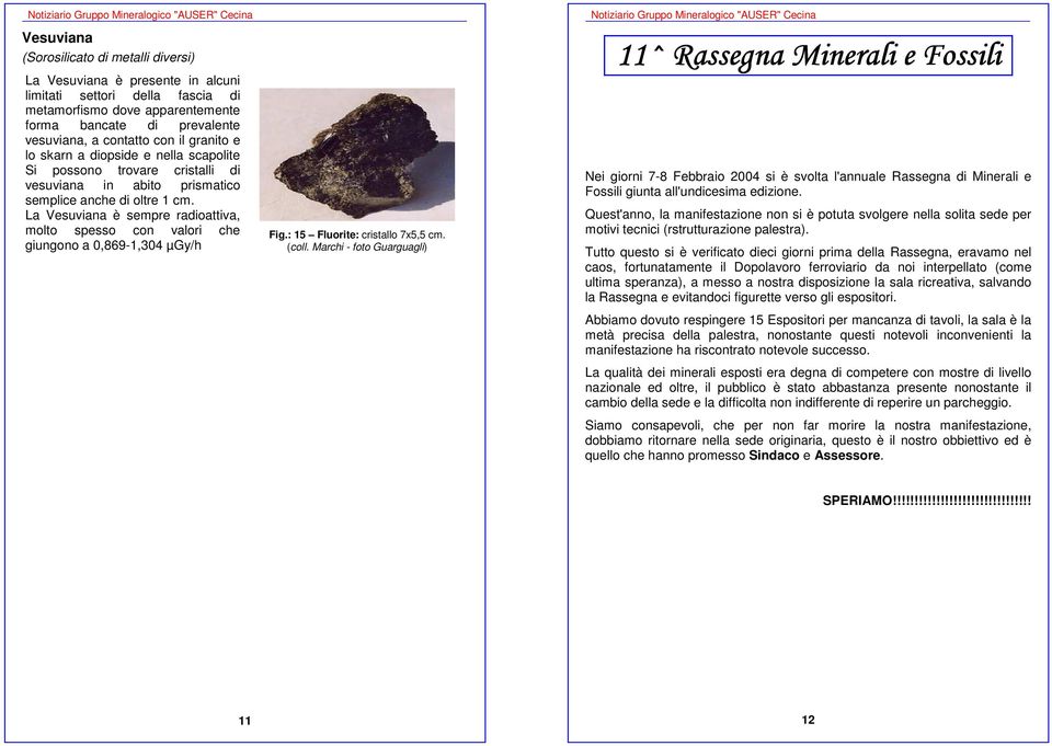 La Vesuviana è sempre radioattiva, molto spesso con valori che giungono a 0,869-1,304 µgy/h Fig.: 15 Fluorite: cristallo 7x5,5 cm.