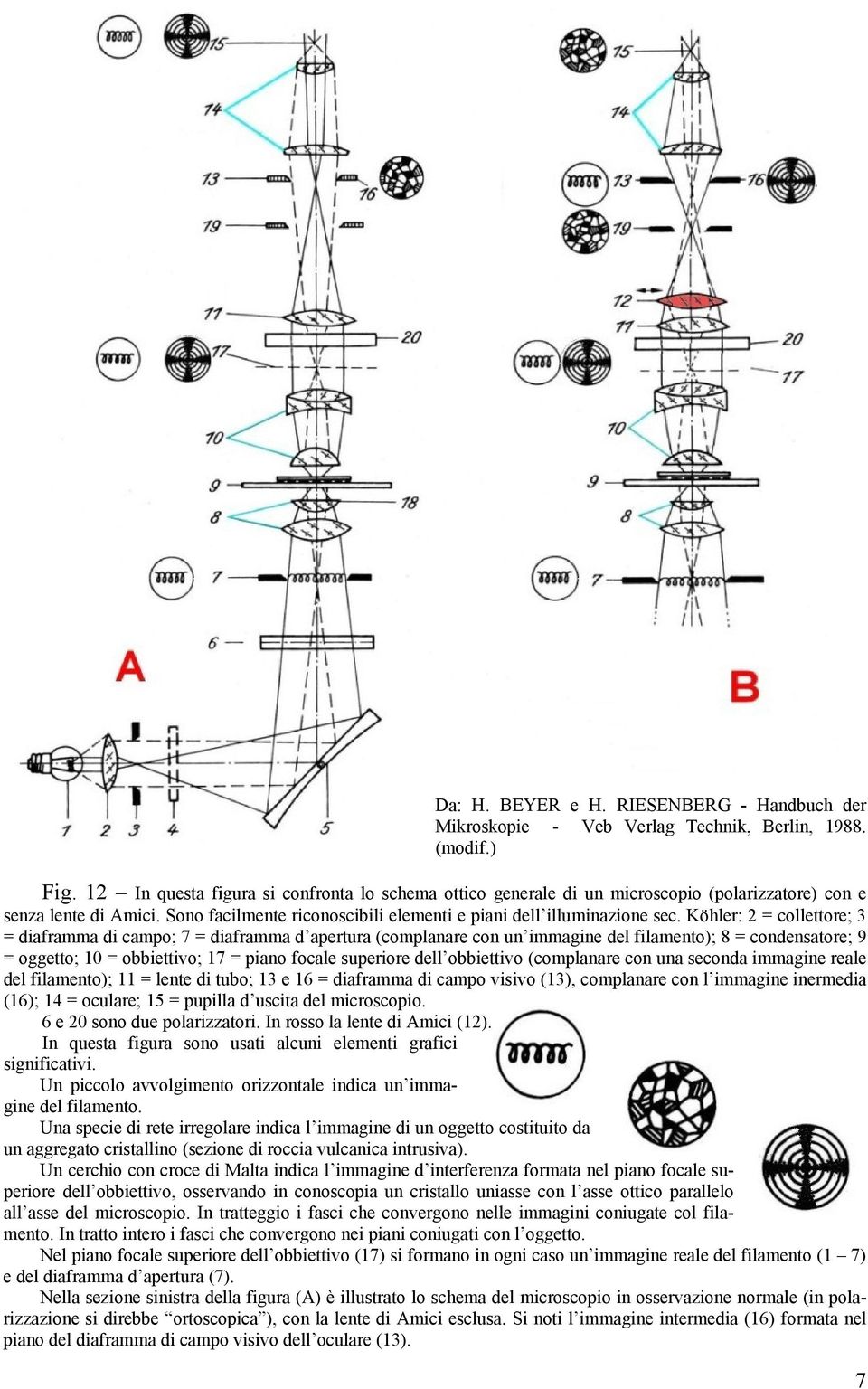 Köhler: 2 = collettore; 3 = diaframma di campo; 7 = diaframma d apertura (complanare con un immagine del filamento); 8 = condensatore; 9 = oggetto; 10 = obbiettivo; 17 = piano focale superiore dell