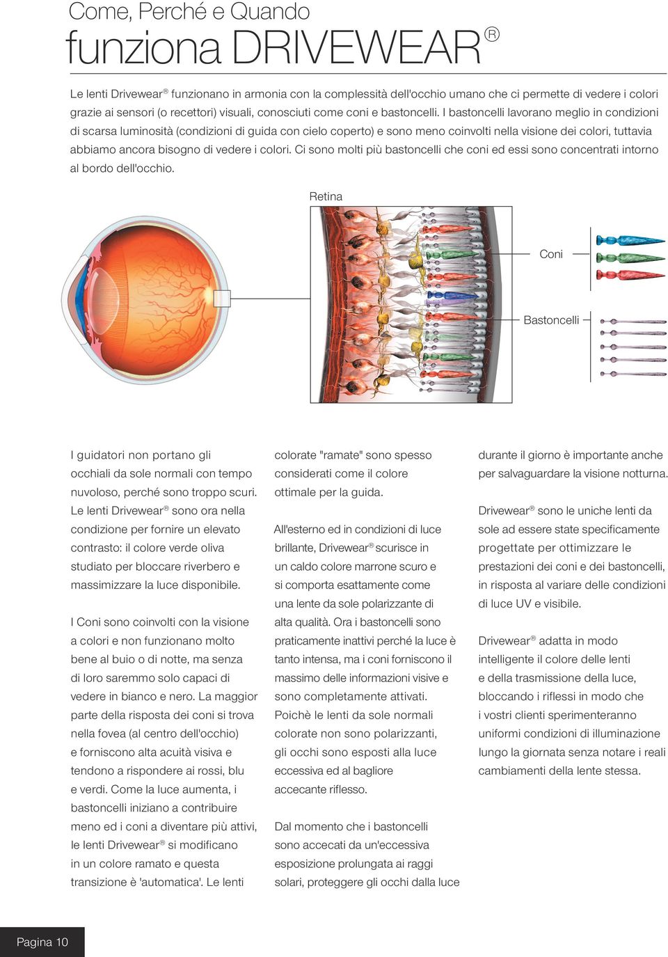 I bastoncelli lavorano meglio in condizioni di scarsa luminosità (condizioni di guida con cielo coperto) e sono meno coinvolti nella visione dei colori, tuttavia abbiamo ancora bisogno di vedere i