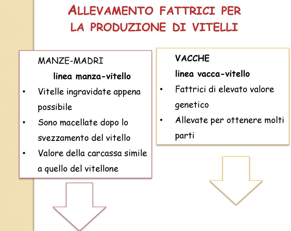 svezzamento del vitello VACCHE linea vacca-vitello Fattrici di elevato valore