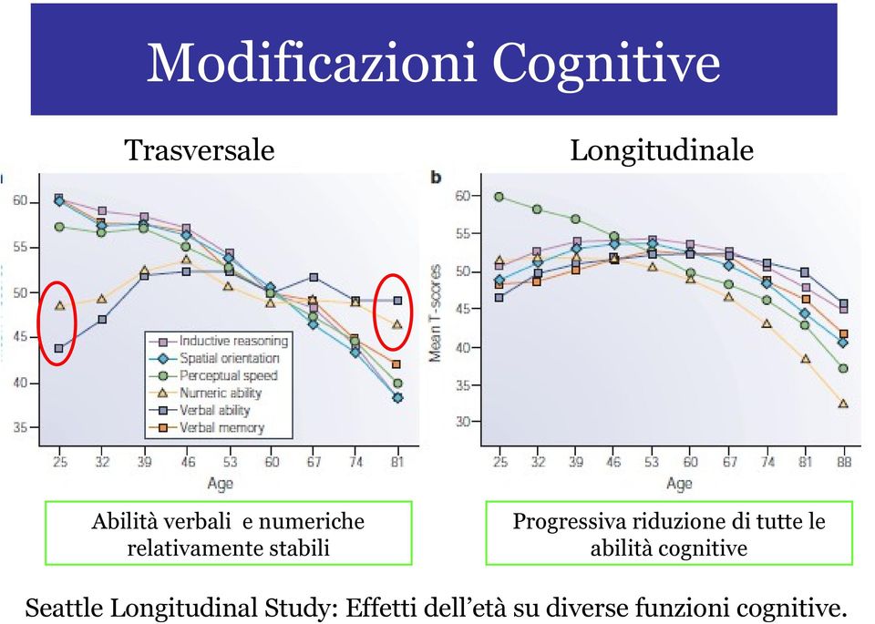 Progressiva riduzione di tutte le abilità cognitive