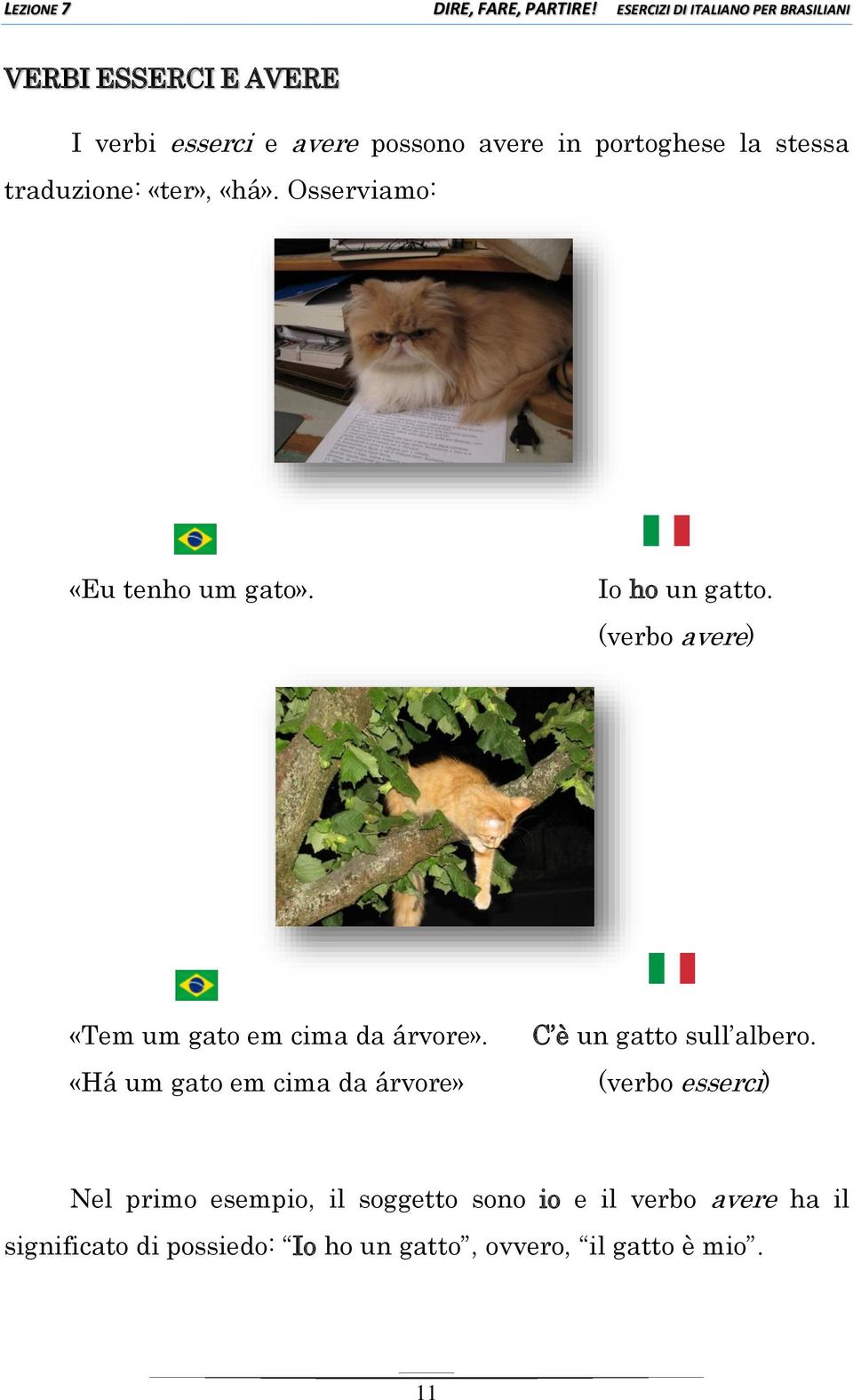 (verbo avere) «Tem um gato em cima da árvore».