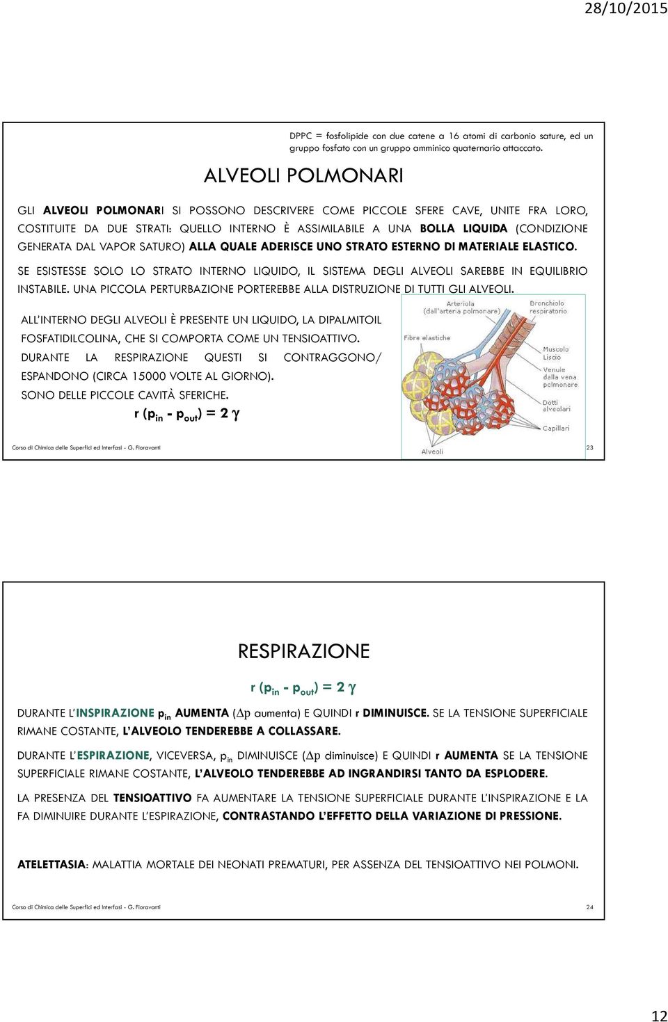 r (p in - p out ) = 2 γ DPPC = fosfolipide con due catene a 16 atomi di carbonio sature, ed un gruppo fosfato con un gruppo amminico quaternario attaccato.