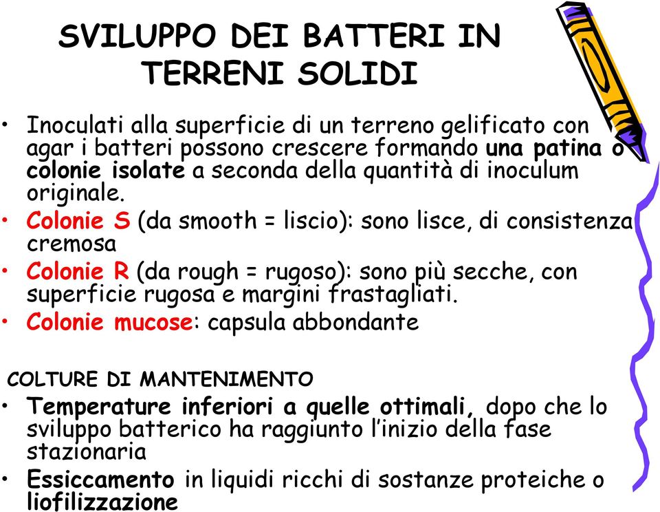 Colonie S (da smooth = liscio): sono lisce, di consistenza cremosa Colonie R (da rough = rugoso): sono più secche, con superficie rugosa e margini