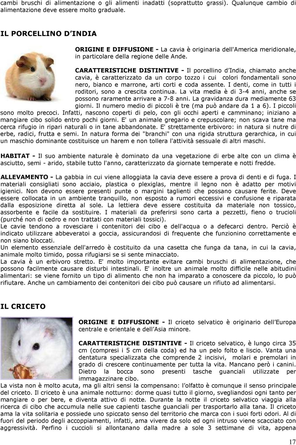 CARATTERISTICHE DISTINTIVE - Il porcellino d India, chiamato anche cavia, è caratterizzato da un corpo tozzo i cui colori fondamentali sono nero, bianco e marrone, arti corti e coda assente.