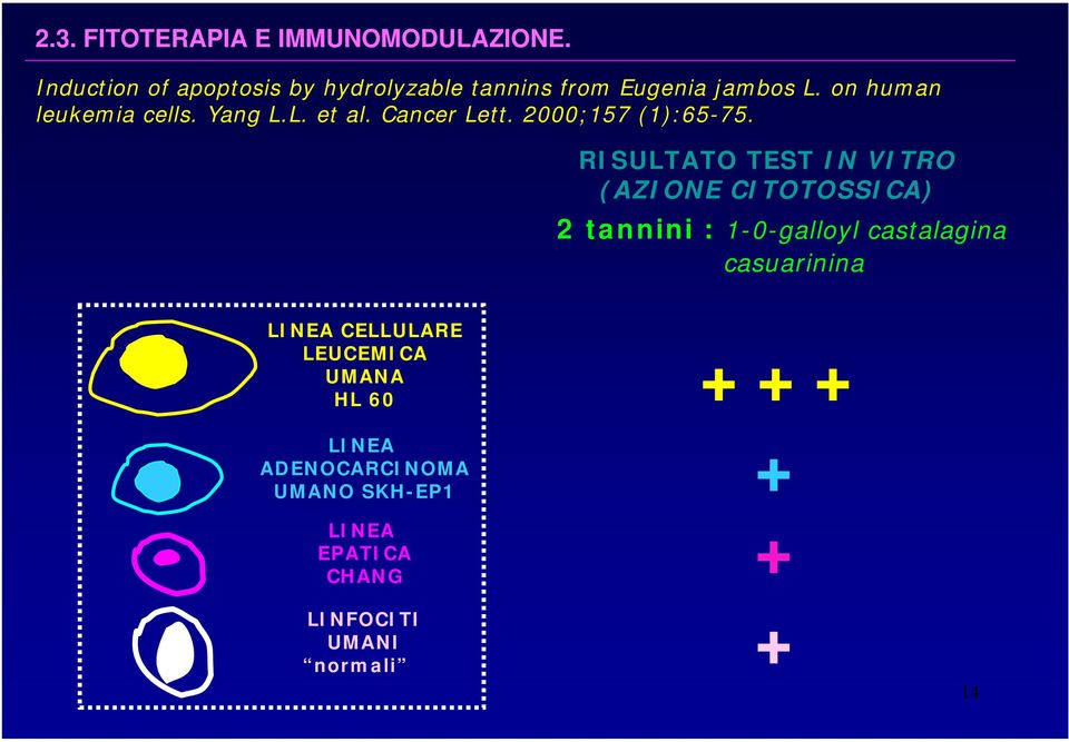 RISULTATO TEST IN VITRO (AZIONE CITOTOSSICA) 2 tannini : 1-0-galloyl castalagina
