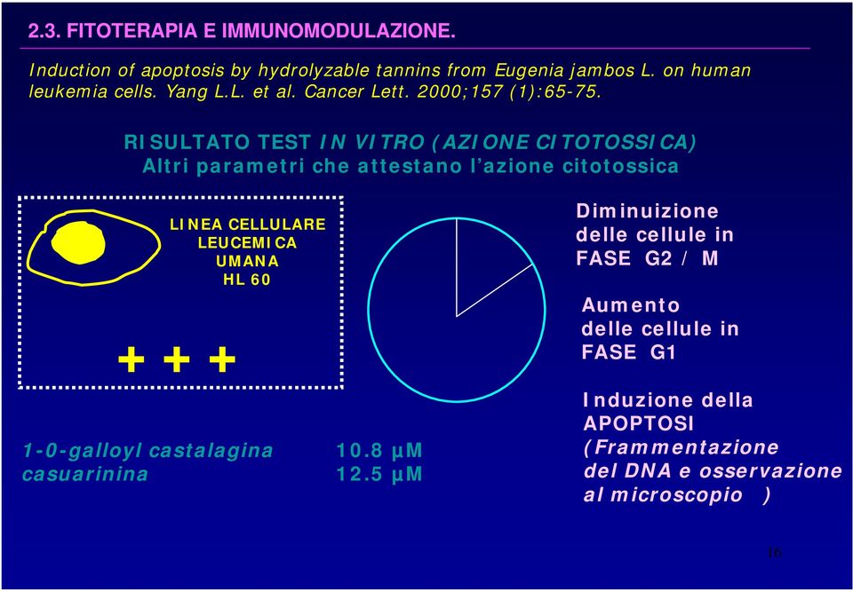 RISULTATO TEST IN VITRO (AZIONE CITOTOSSICA) Altri parametri che attestano l azione citotossica LINEA CELLULARE LEUCEMICA