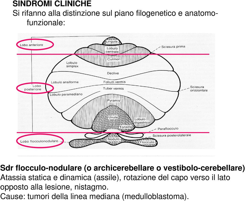 vestibolo-cerebellare) Atassia statica e dinamica (assile), rotazione del