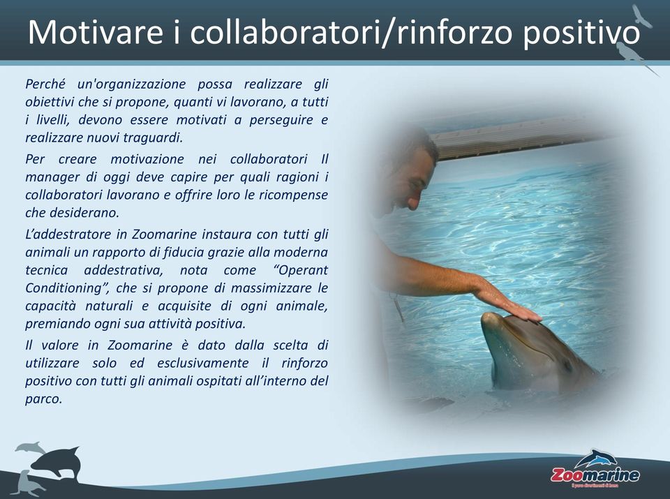 L addestratore in Zoomarine instaura con tutti gli animali un rapporto di fiducia grazie alla moderna tecnica addestrativa, nota come Operant Conditioning, che si propone di massimizzare le capacità