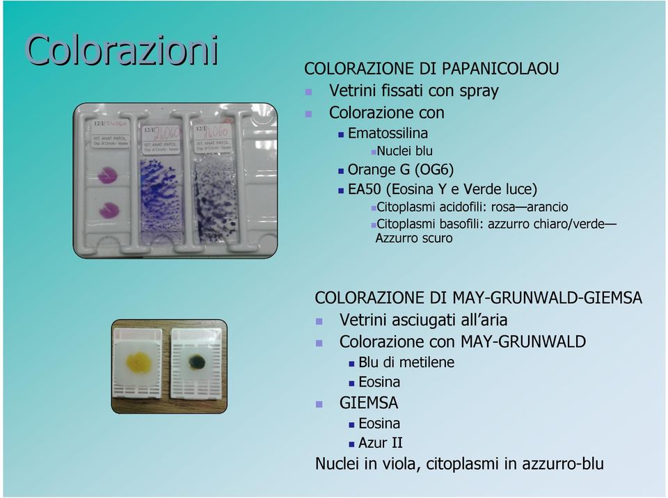 azzurro chiaro/verde Azzurro scuro COLORAZIONE DI MAY-GRUNWALD-GIEMSA Vetrini asciugati all aria