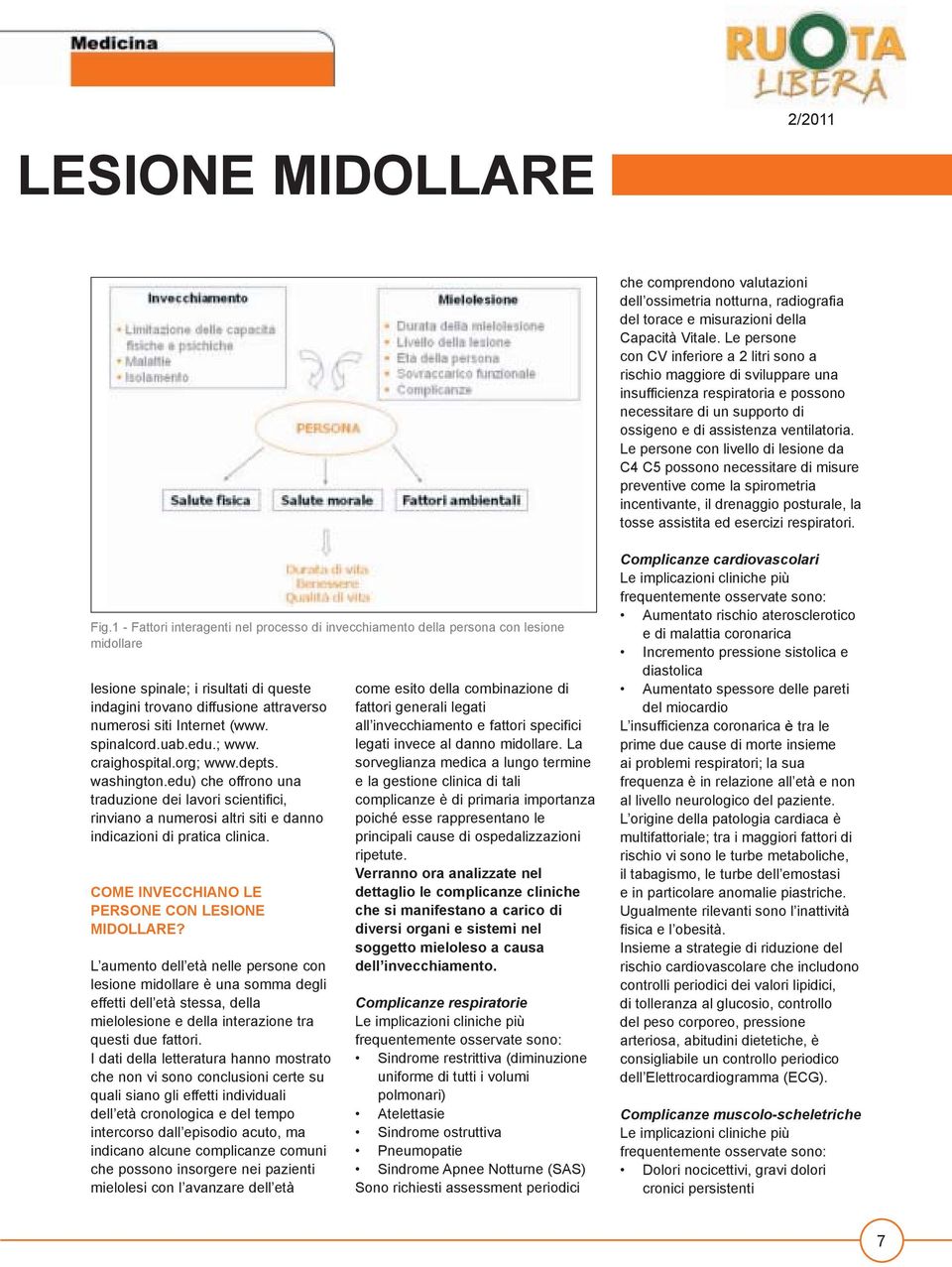 Le persone con livello di lesione da C4 C5 possono necessitare di misure preventive come la spirometria incentivante, il drenaggio posturale, la tosse assistita ed esercizi respiratori. Fig.