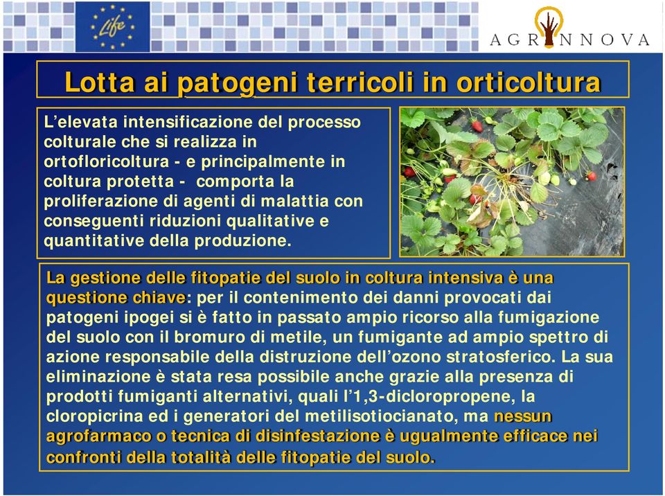 La gestione delle fitopatie del suolo in coltura intensiva è una questione chiave: per il contenimento dei danni provocati dai patogeni ipogei si è fatto in passato ampio ricorso alla fumigazione del