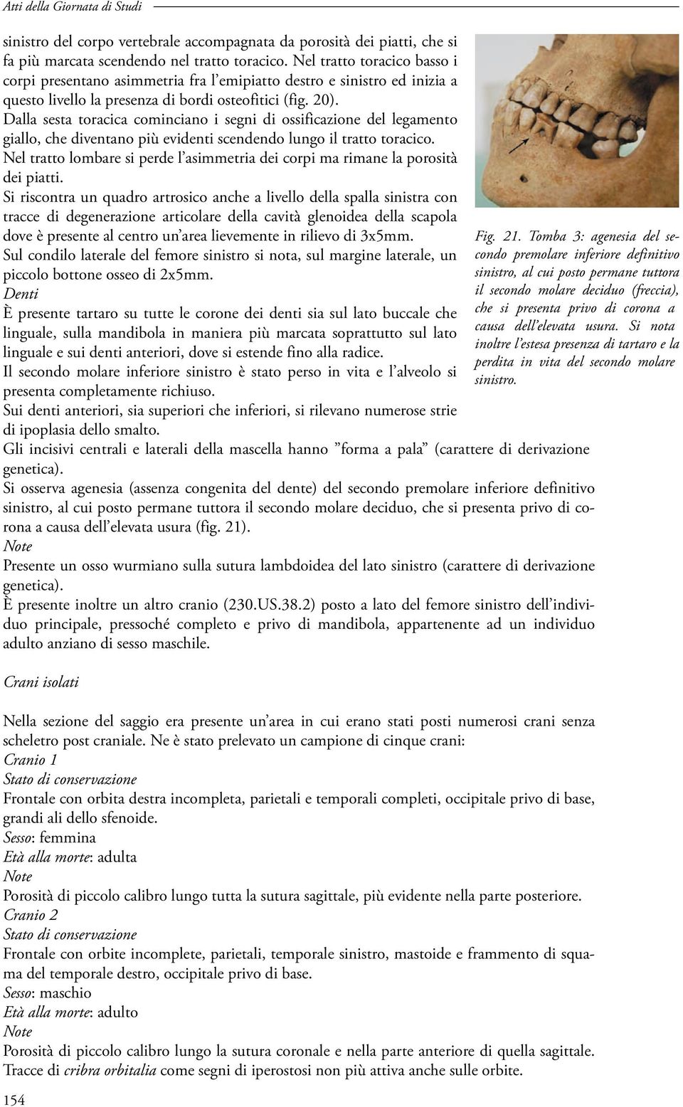 Dalla sesta toracica cominciano i segni di ossificazione del legamento giallo, che diventano più evidenti scendendo lungo il tratto toracico.