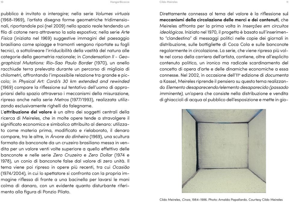 fogli tecnici, a sottolineare l irriducibilità della vastità del natura alle categorie della geometria razionale; in Condensation II - Geographical Mutations: Rio-Sao Paulo Border (1970), un anello