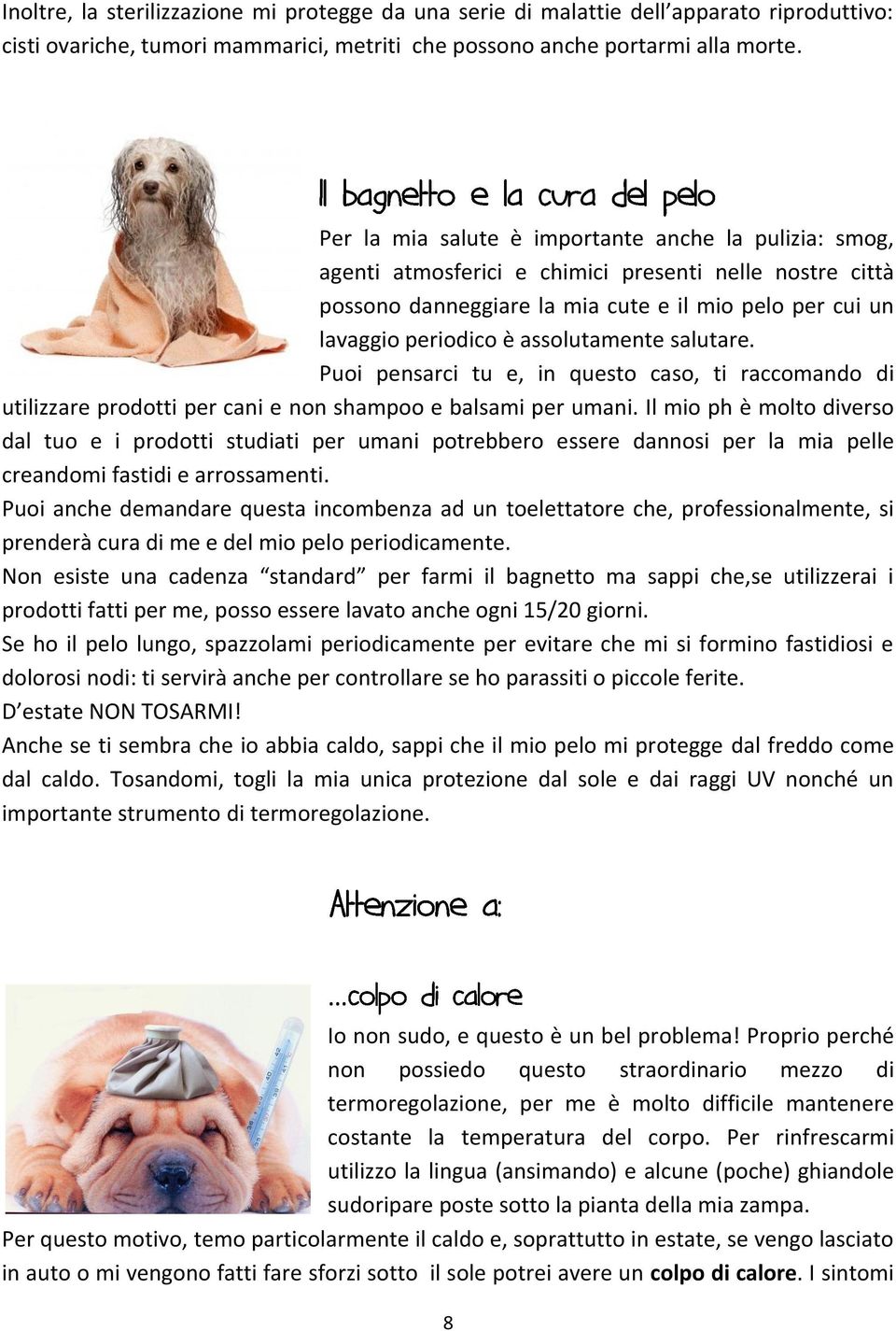 assolutamente salutare. Puoi pensarci tu e, in questo caso, ti raccomando di utilizzare prodotti per cani e non shampoo e balsami per umani.