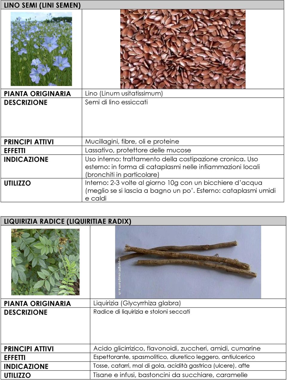 Uso esterno: in forma di cataplasmi nelle infiammazioni locali (bronchiti in particolare) Interno: 2-3 volte al giorno 10g con un bicchiere d acqua (meglio se si lascia a bagno un po.